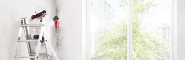 Professional Mold Removal in Angier, NC